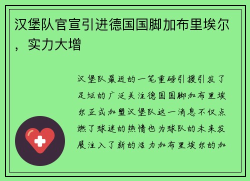 汉堡队官宣引进德国国脚加布里埃尔，实力大增