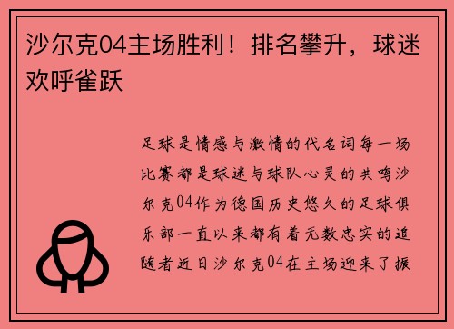 沙尔克04主场胜利！排名攀升，球迷欢呼雀跃